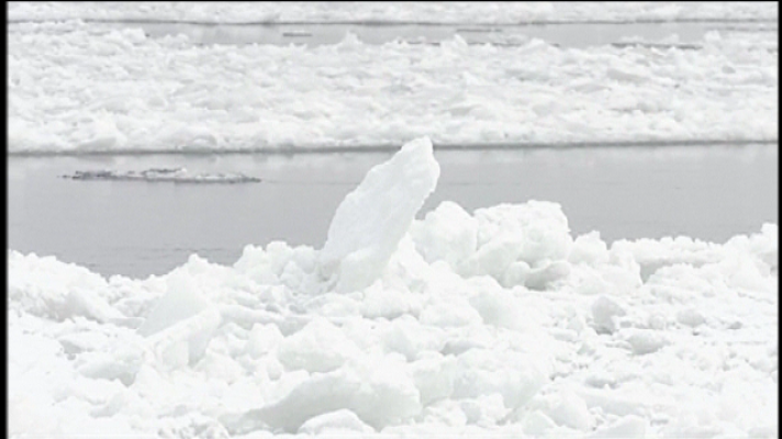 Teleplaneta - Teleplaneta - 13/11/2017