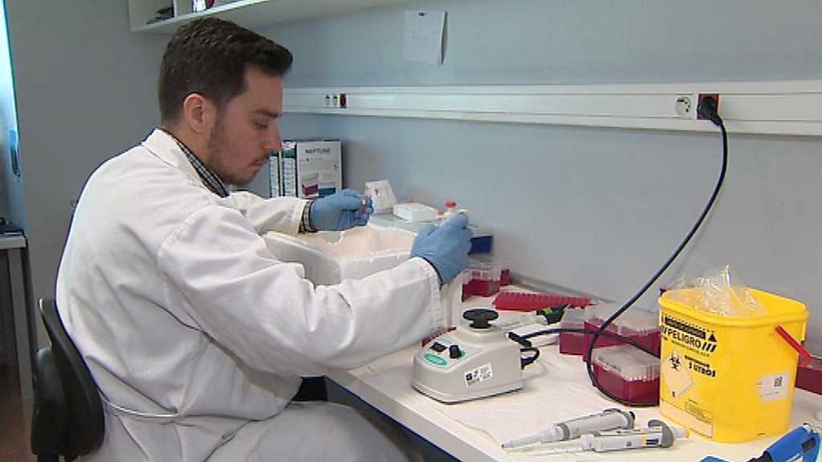 L'Informatiu - Comunitat Valenciana 2 - 17/11/17 - ver ahora