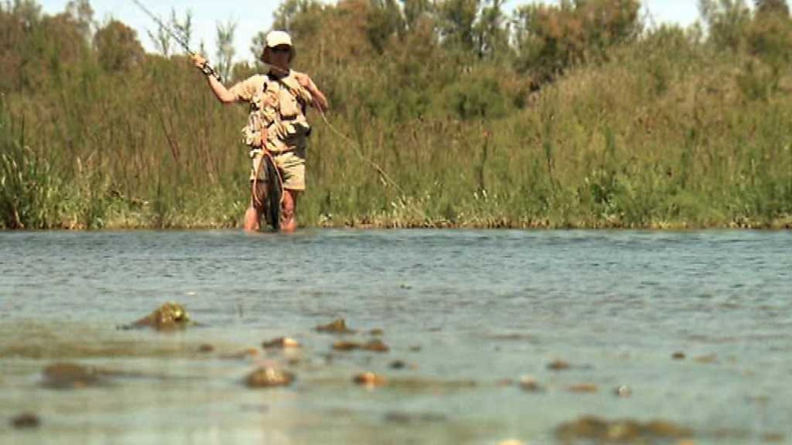 Jara y sedal - Los barbos del Guadalhorce - ver ahora