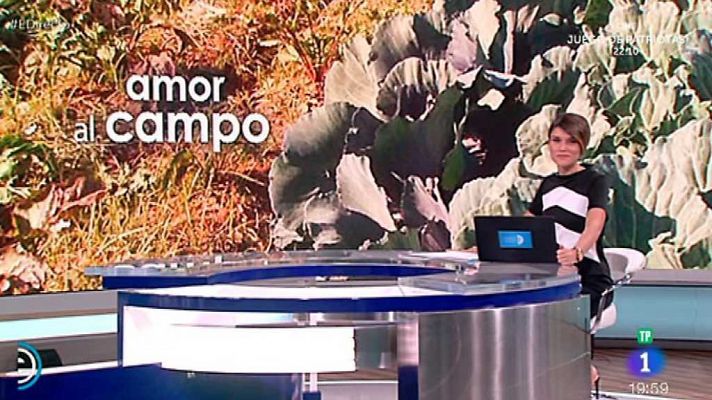 España Directo - España Directo - 17/11/17