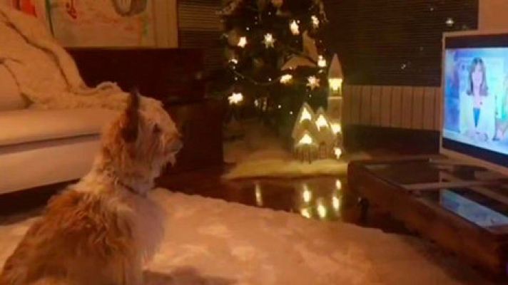 La otra historia del perro del anuncio de la Lotería de Navidad 2017
