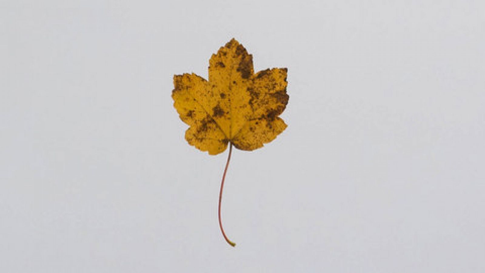 El anticiclón seguirá sobre el país con predominio de tiempo estable