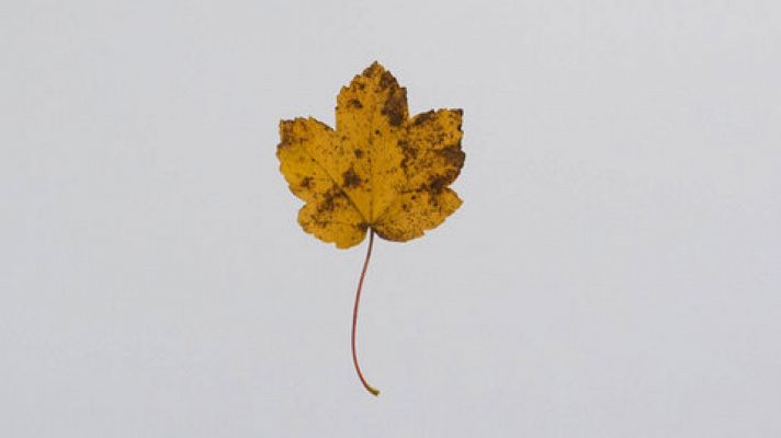 El tiempo - El anticiclón seguirá sobre el país con predominio de tiempo estable