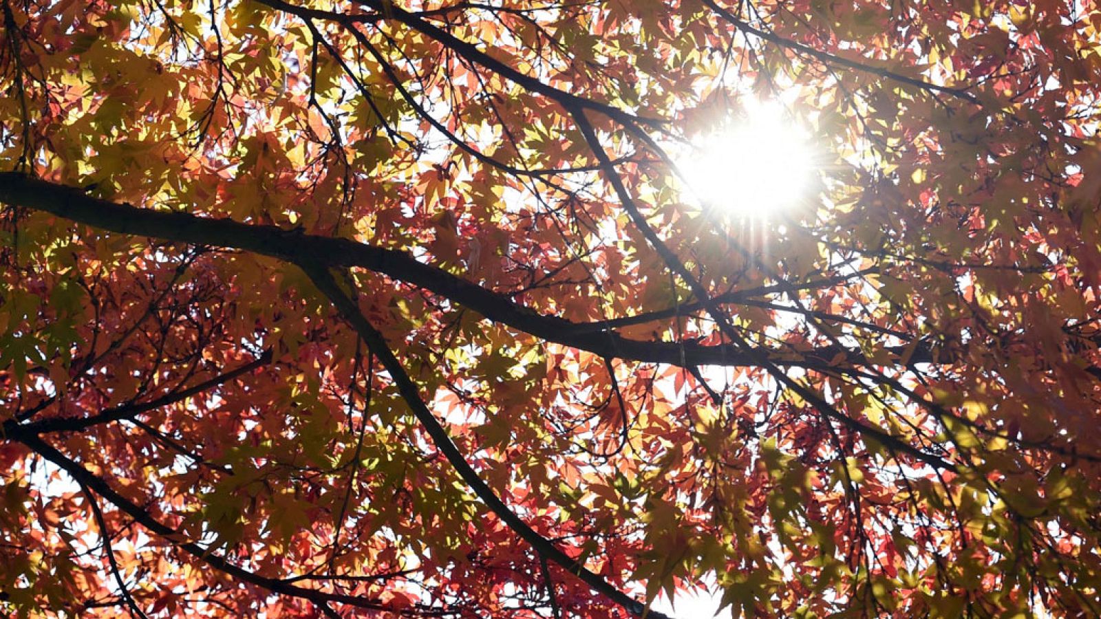 El Tiempo en la Comunidad de Madrid - 20/11/17