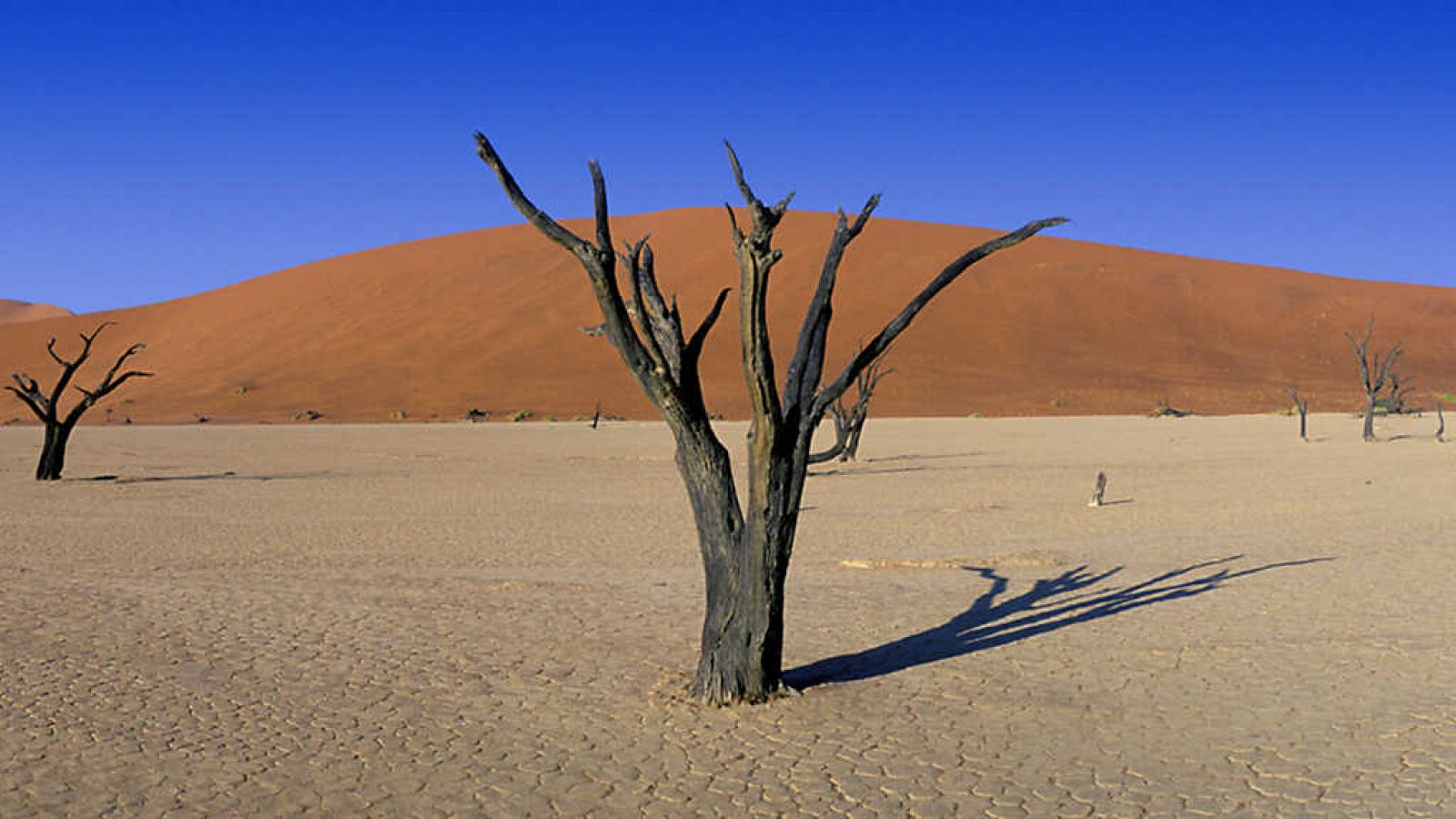 Grandes documentales - La gran sequía: La vida en el horno - ver ahora