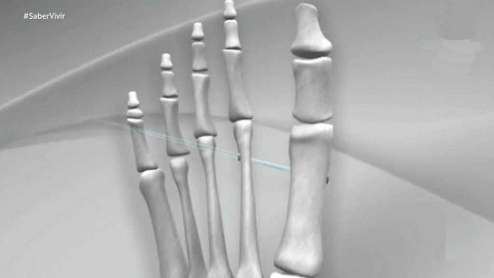 Saber vivir - 21/11/17 - ver ahora