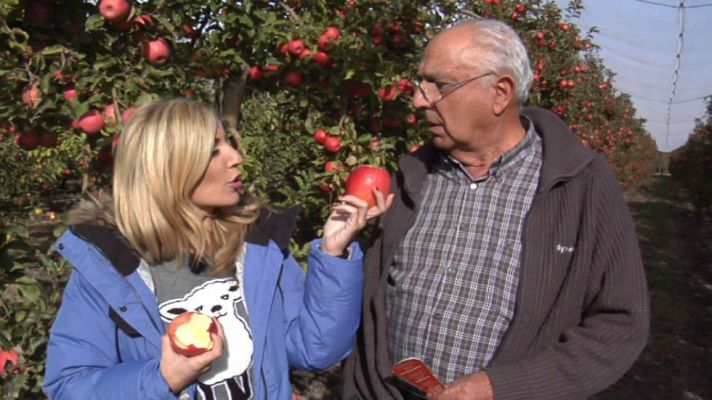 Aquí la Tierra - Pink Lady: bombón vegetal