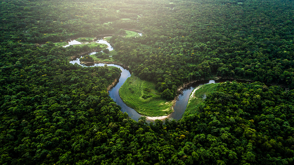 Grandes documentales - El Amazonas de Oriente: La fuente de la vida -  RTVE.es