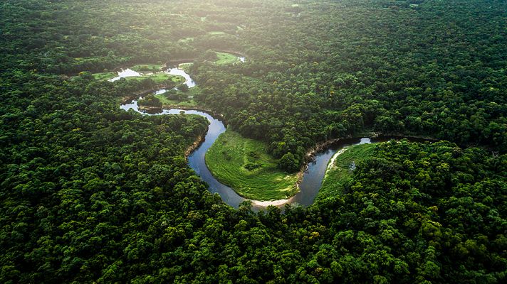 El Amazonas de Oriente: La fuente de la vida