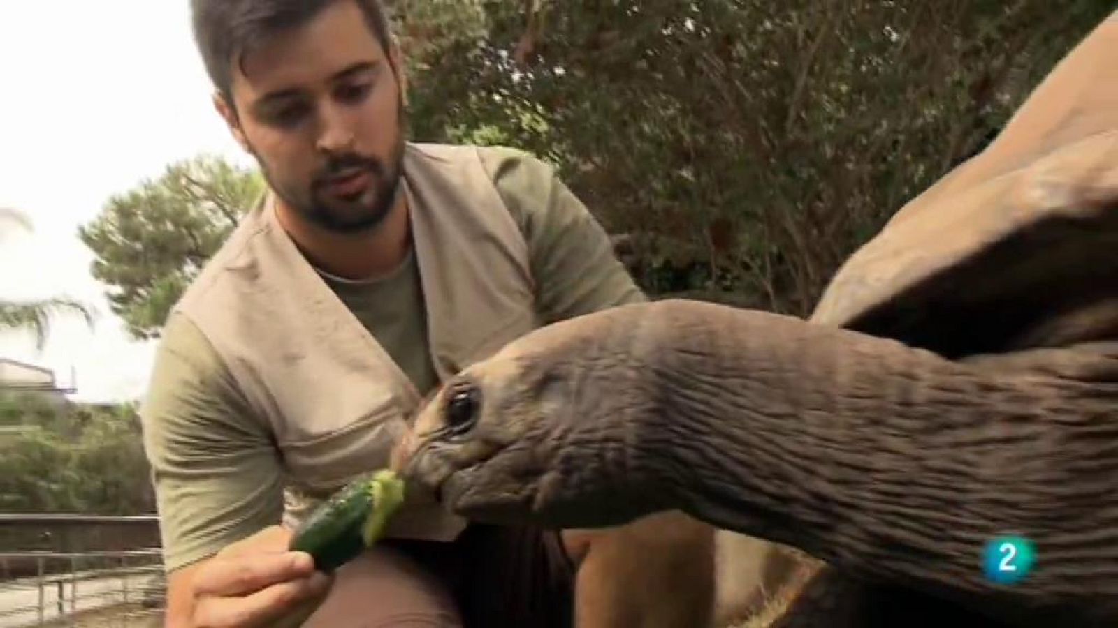 Cinc dies a... Zoo de Barcelona