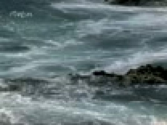 Raíces - Danzas y el mar