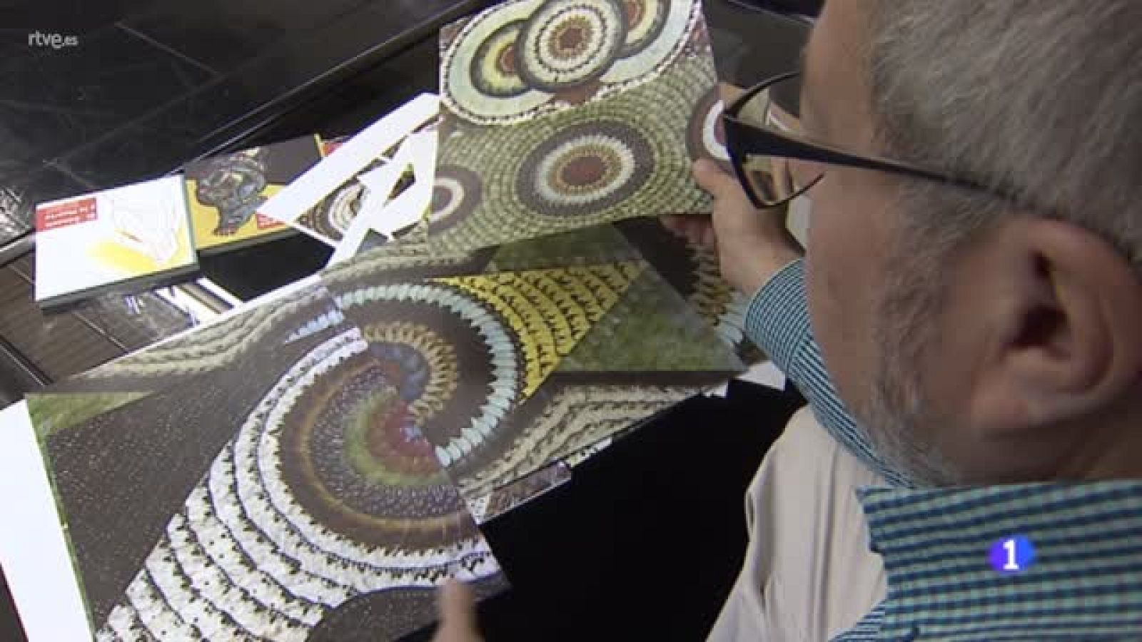 "Alas para la imagen", un libro sobre el uso artístico de las alas de mariposa | Ver