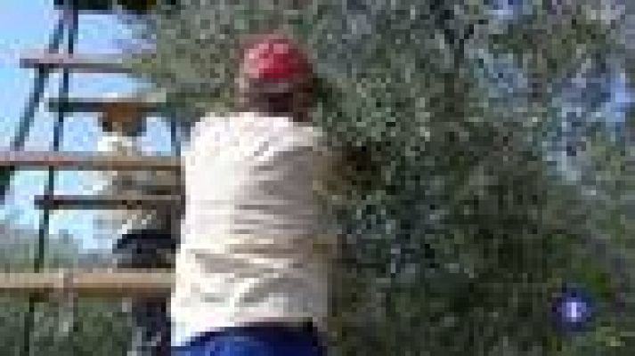 Noticias Andalucía - Noticias Andalucía - 22/11/2017