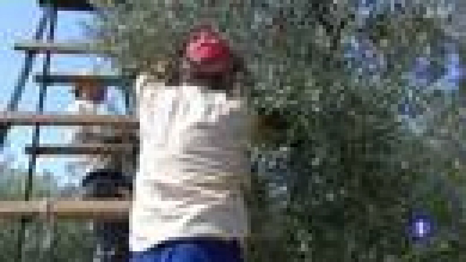 Noticias Andalucía 2 - 22/11/2017 | Ver