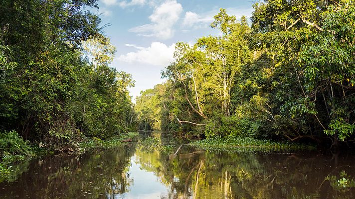 El Amazonas de Oriente: El regalo de la tierra