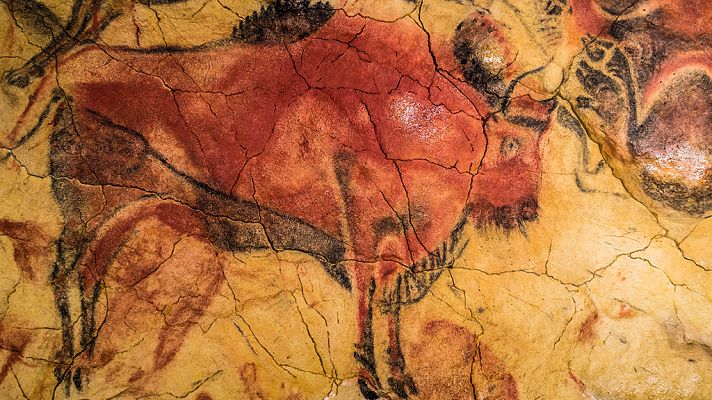 Documenta2 - Una nueva prehistoria: El amanecer de los mamíferos