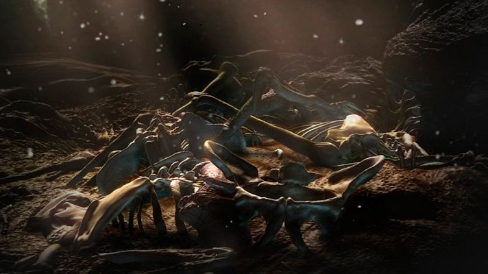 Documenta2 - La cuna de la Humanidad