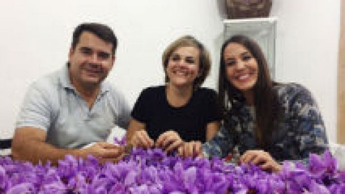 Aquí la Tierra - Azafrán: de la tierra a la cocina con sumo cuidado