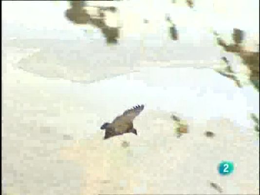 Espacios naturales - Cazorla, Segura y Las Villas - 1