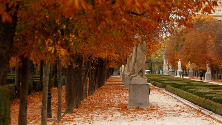 Informativo de Madrid - El Tiempo en la Comunidad de Madrid - 24/11/17
