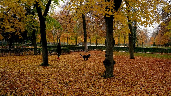 El tiempo - Viento fuerte en Canarias y bajada notable de temperaturas en Levante