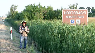 Capítulo 3: La gran llanura panónica
