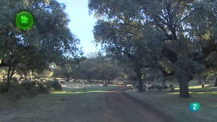 Agrosfera - Trazabilidad Ibérico