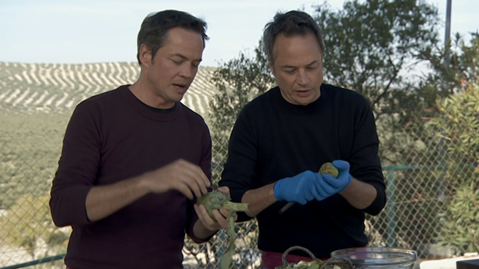 Torres en la cocina - Ensalada de setas en escabeche. Torta de aceite - ver ahora