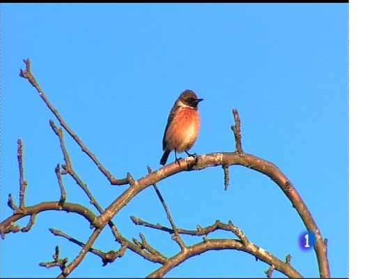 Panorama Regional - El tiempo en Asturias - 28/11/17