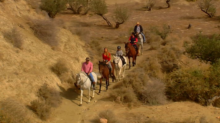 España Directo - España Directo - 28/11/17