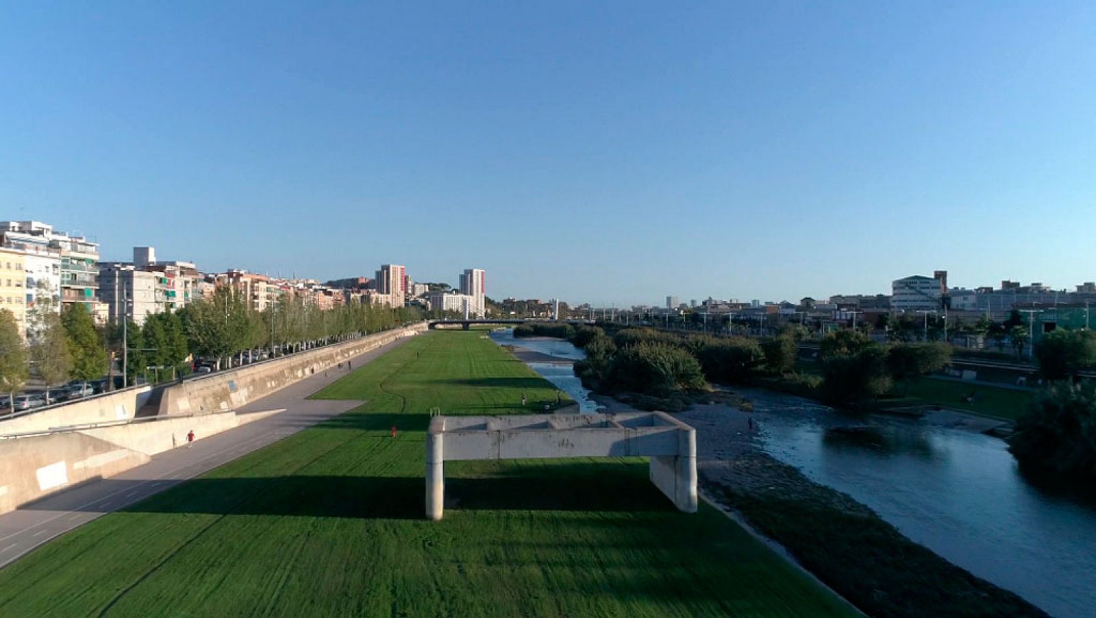 El escarabajo verde - Ciudadano río - Avance