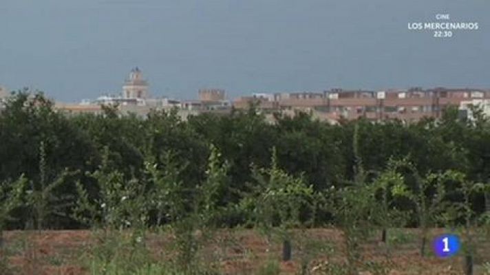 Aquí la Tierra - ¿De dónde nacen los cacahuetes?