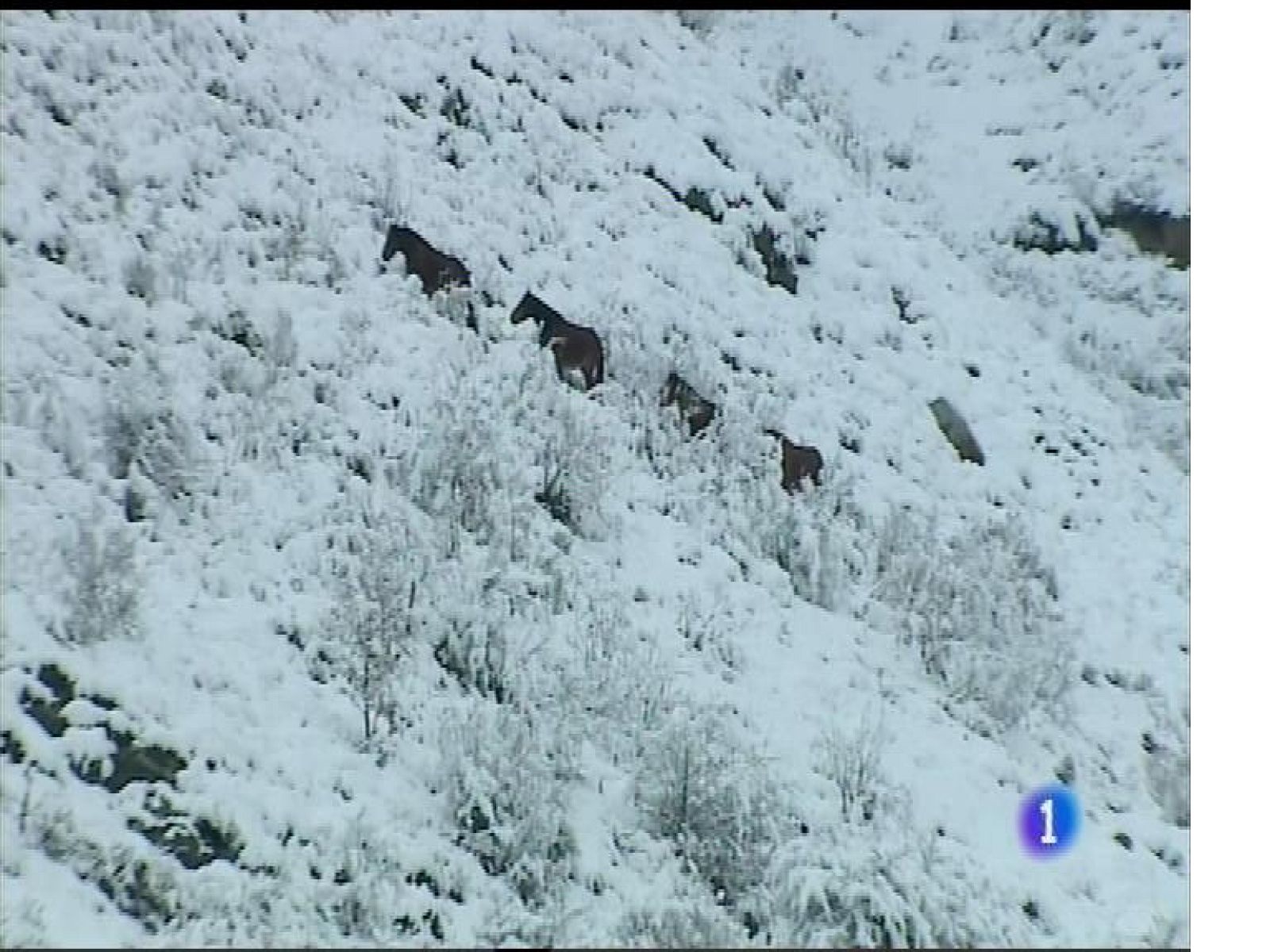 El tiempo en Asturias - 30/11/17 | Ver