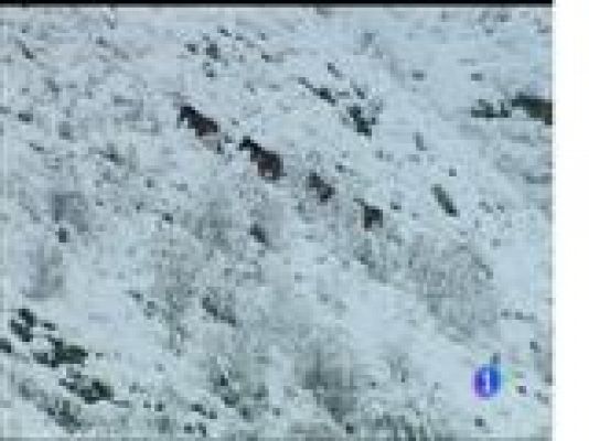 Panorama Regional - El tiempo en Asturias - 30/11/17