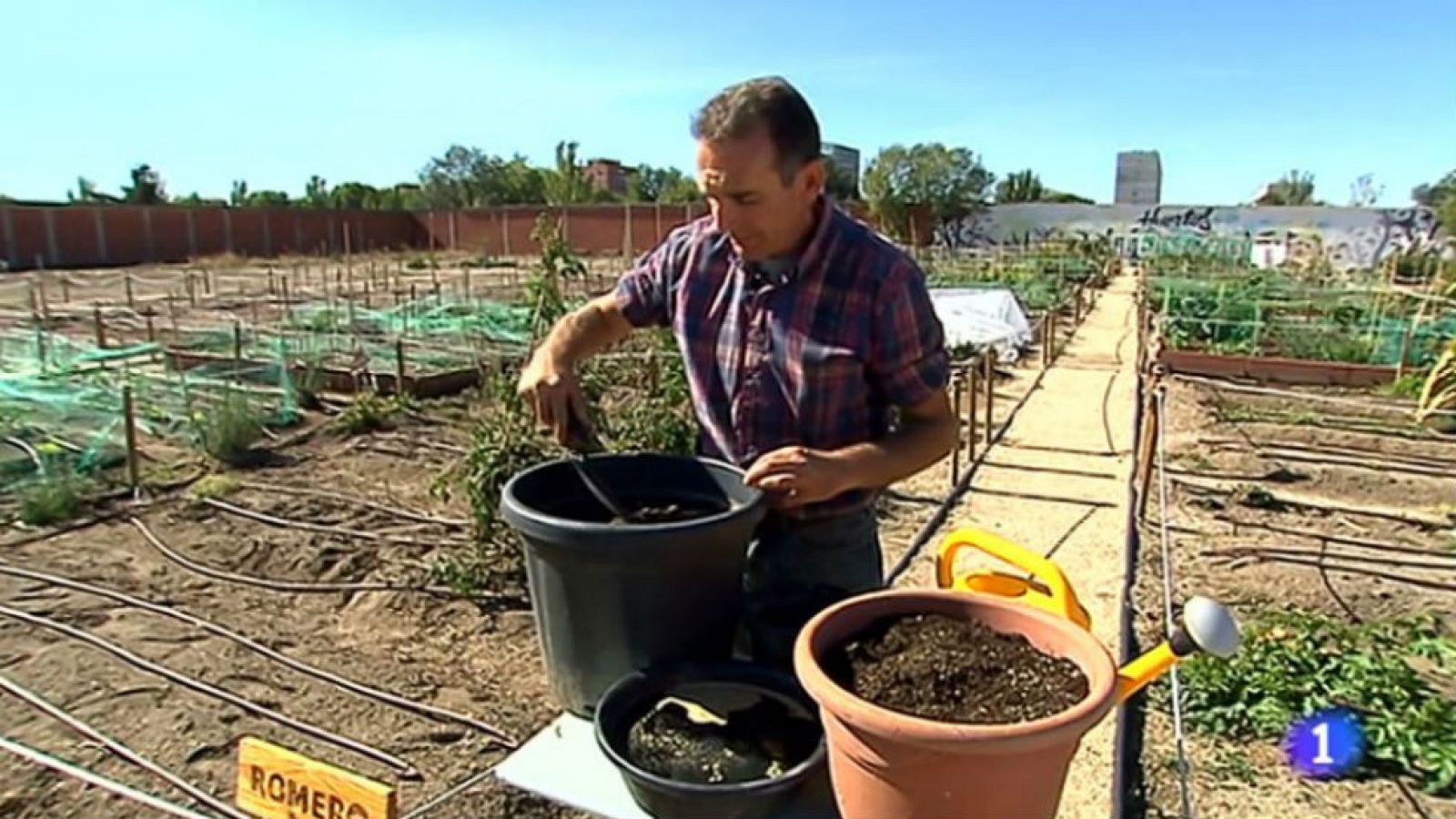 De la mata a la olla
