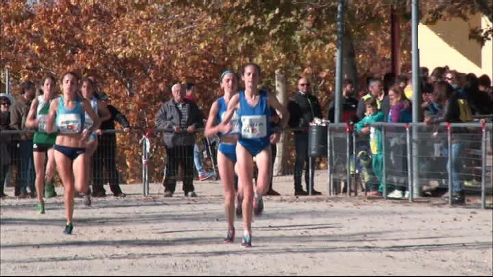 Cross - Internacional de Alcobendas 2017. Resumen