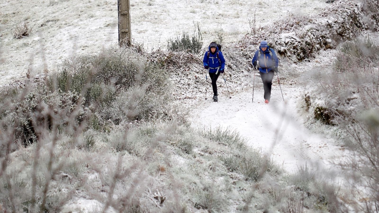 La tarde en 24 horas - El tiempo - 30/11/17 - ver ahora