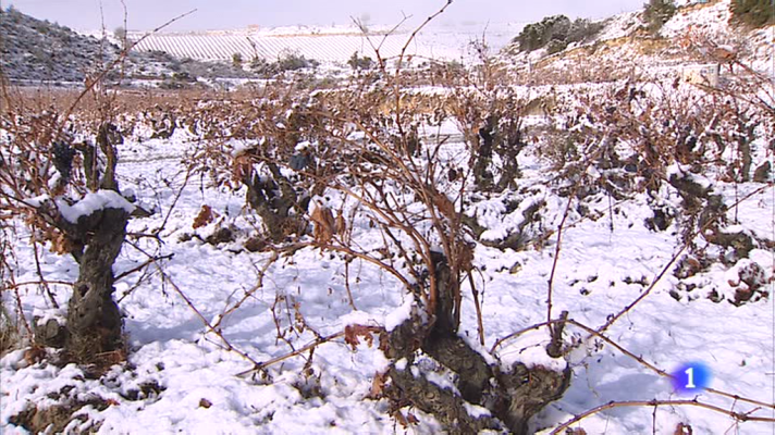 Informativo Telerioja - Informativo Telerioja - 1/12/17