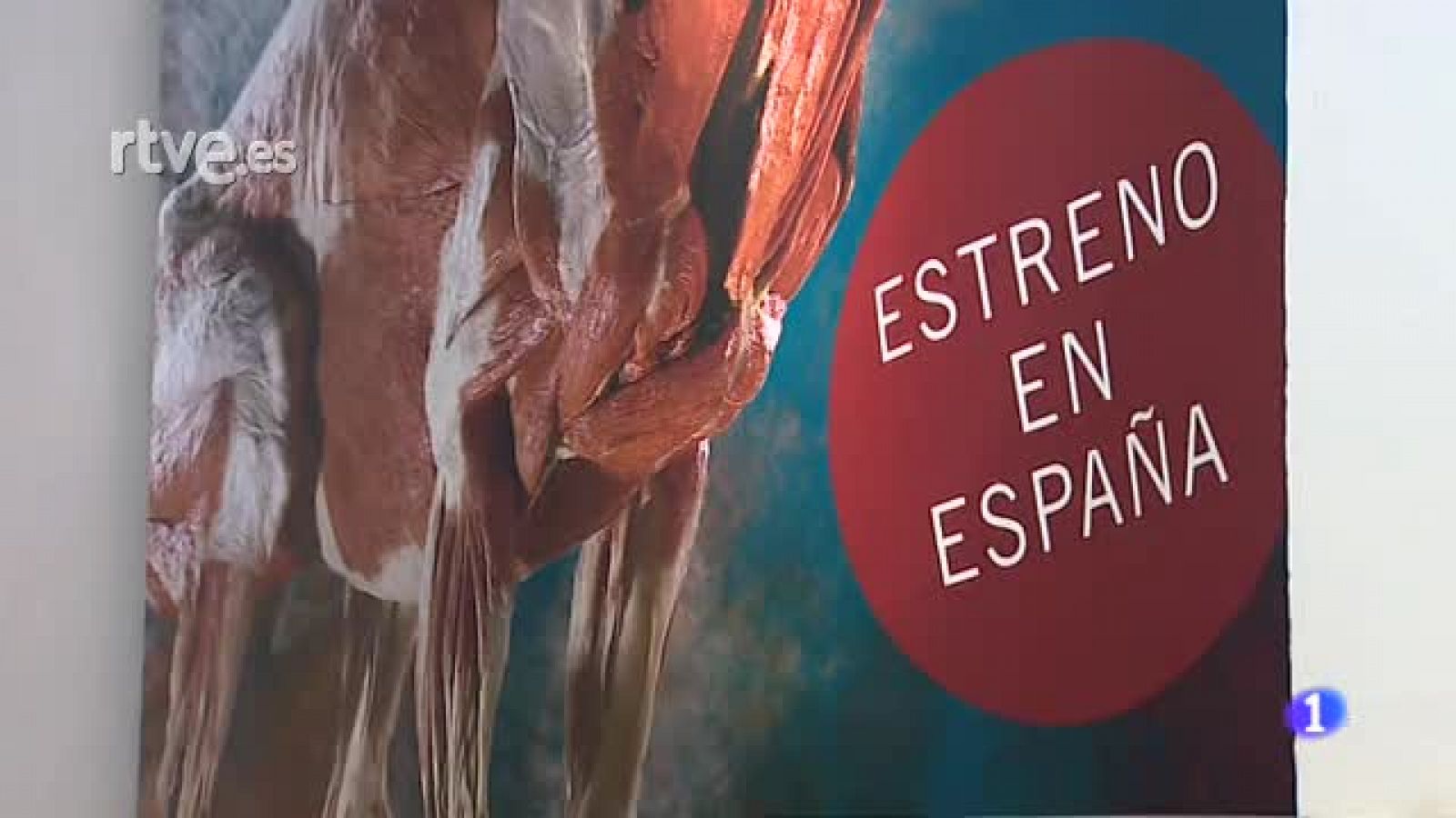 Sin programa: Sevilla estrena la exposición "Animal Inside out", la vida salvaje al descubierto | RTVE Play