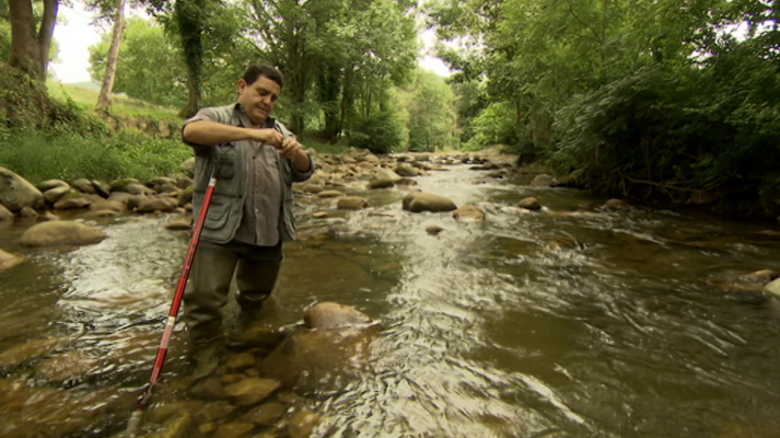 Jara y sedal - El que pierde paga