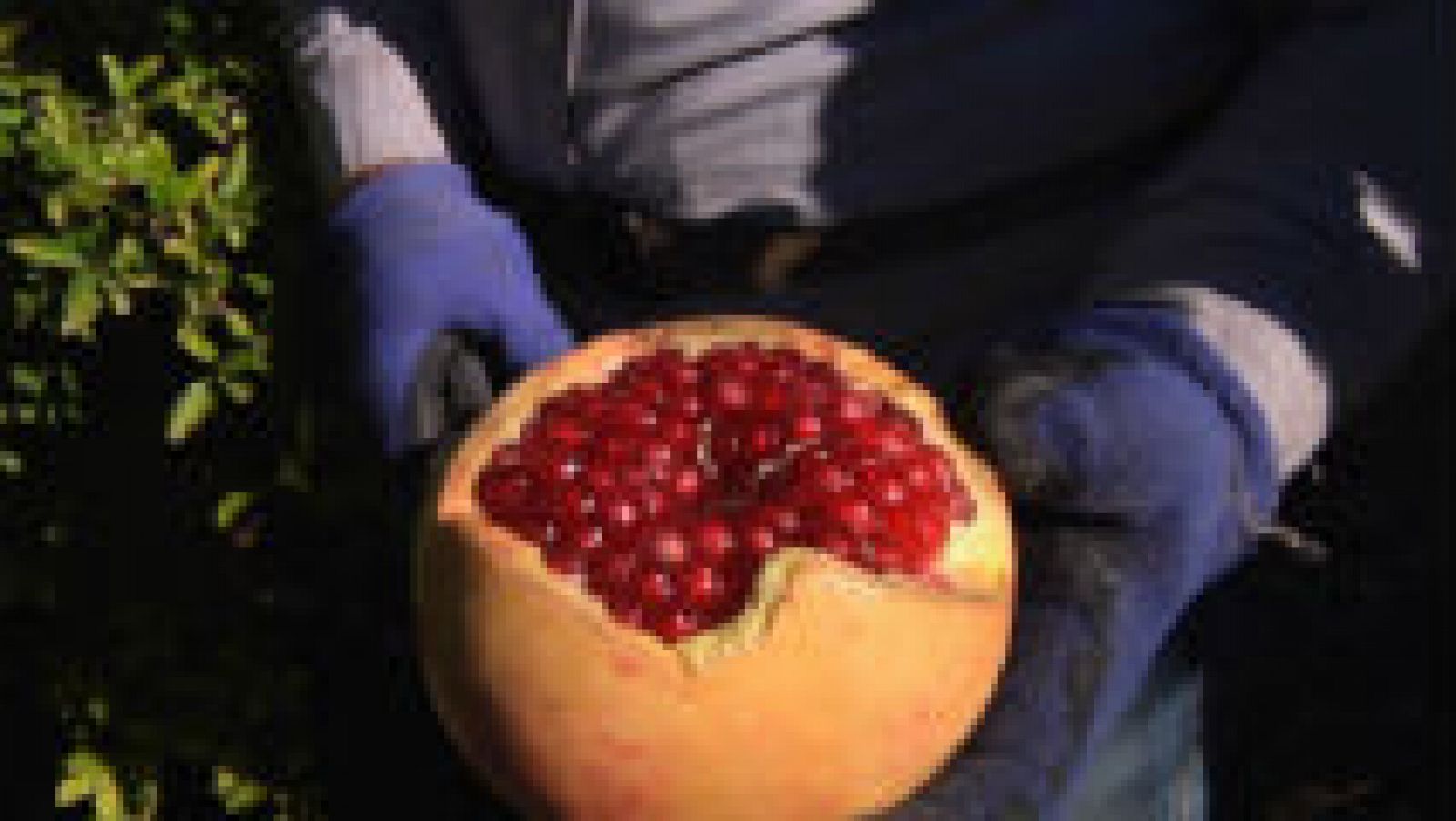 Todo sobre las granadas y cómo pelarlas