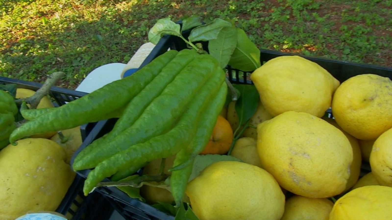 Aquí la Tierra - 01/12/17 - ver ahora