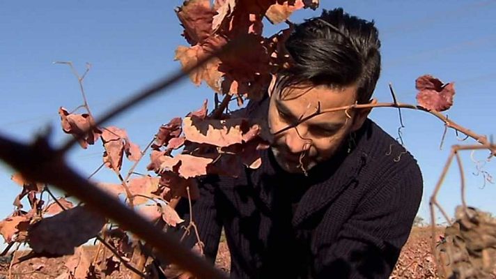 Zoom Tendencias - Una escapada enoturística