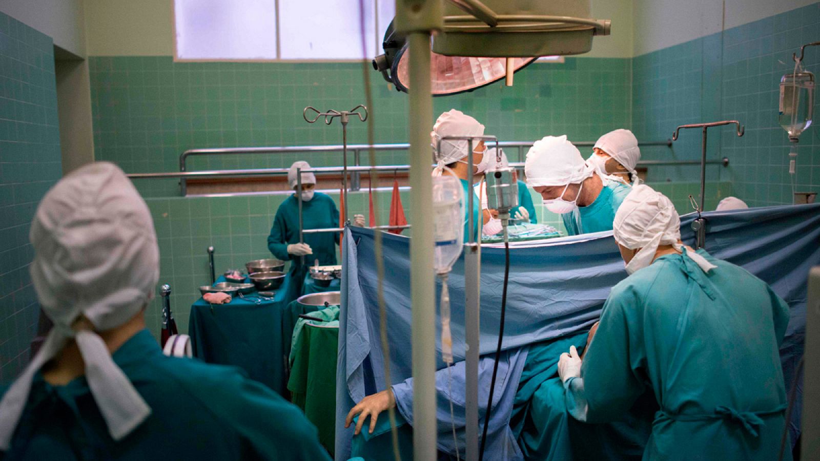 Se cumplen 50 años del primer trasplante de corazón  