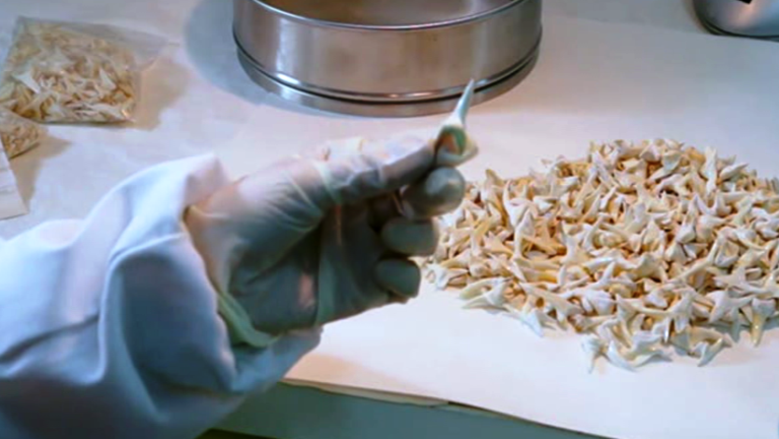 Fábrica de ideas - Incuba: Universidad de Vigo | Ver