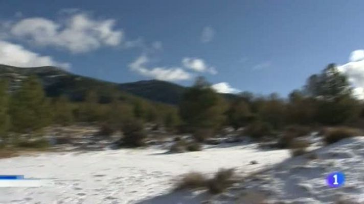 Noticias Murcia - La Region de Murcia en 2' - 04/12/2017