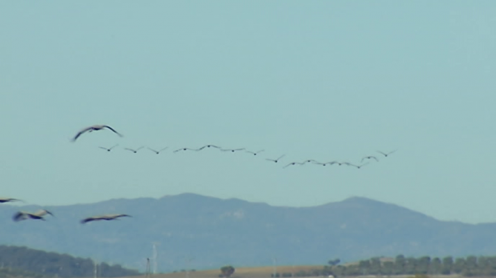España en 24h - España en 24 horas - 04/12/17