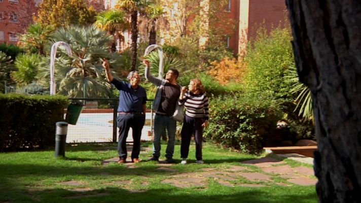 Aquí la Tierra - Una pareja de búhos en el barrio