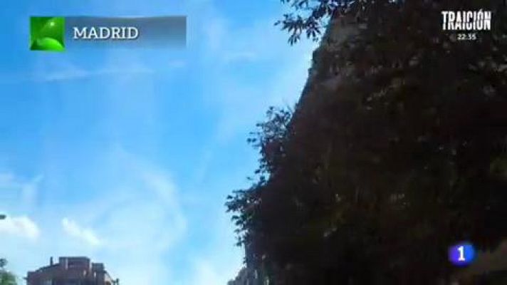 Aquí la Tierra - Una pareja de búhos en el barrio