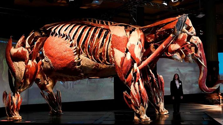 La 2 Noticias - La 2 Noticias - 05/12/17